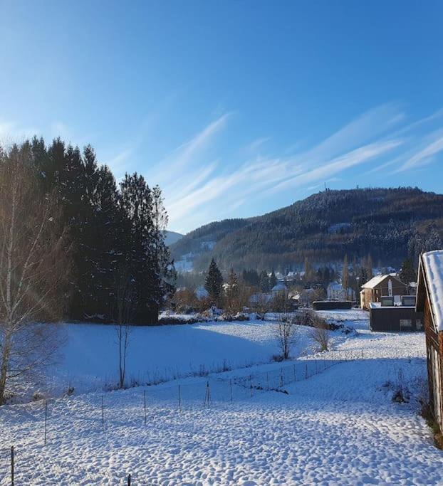 Chalet Les Boudieres 6 Pers Pres Gerardmer Cosy Billard Fraize Exterior photo